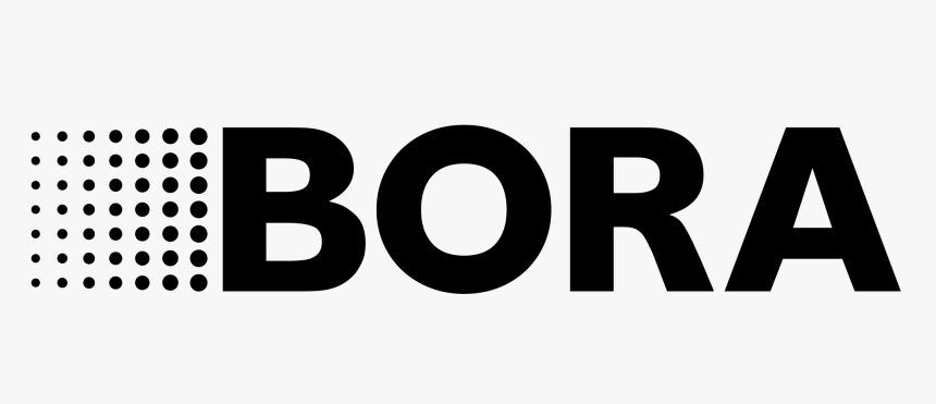 30 - Bora logo